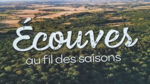 ECOUVES au fil des saisons- Francis Michel