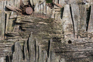 Question de Temps, Bernard PHILIPPE