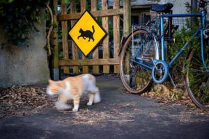 Exposition Objectif Image St Nazaire