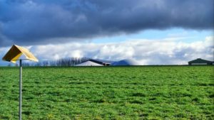 Maryse Brault – Florilège