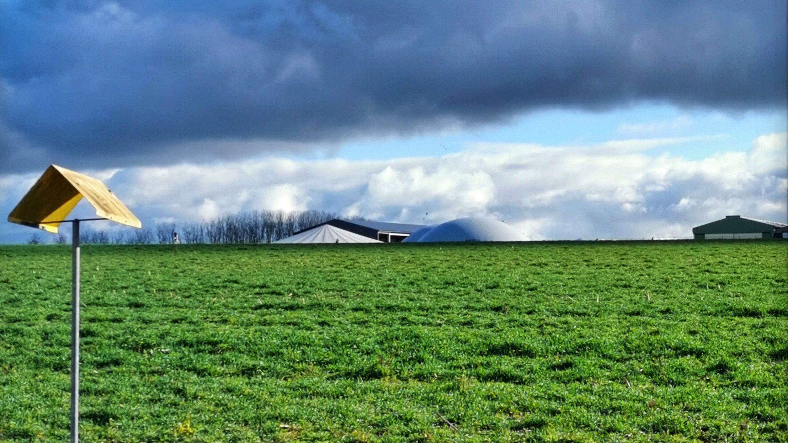 Maryse Brault – Florilège