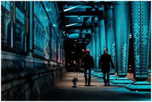 Printemps d&rsquo;Objectif Image – La Nuit