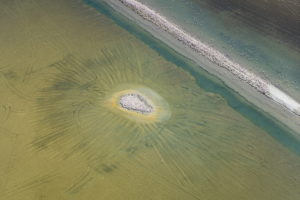 6èmes Rencontres Régionales de la Photographie à Juvignac (34)