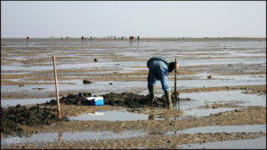 Festival Voyages Découvertes – Le Mans