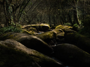 » Côté Argoat … en Côtes d’Armor » – Daniel Le Boëdec