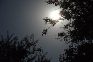 La nuit – Joël Angot