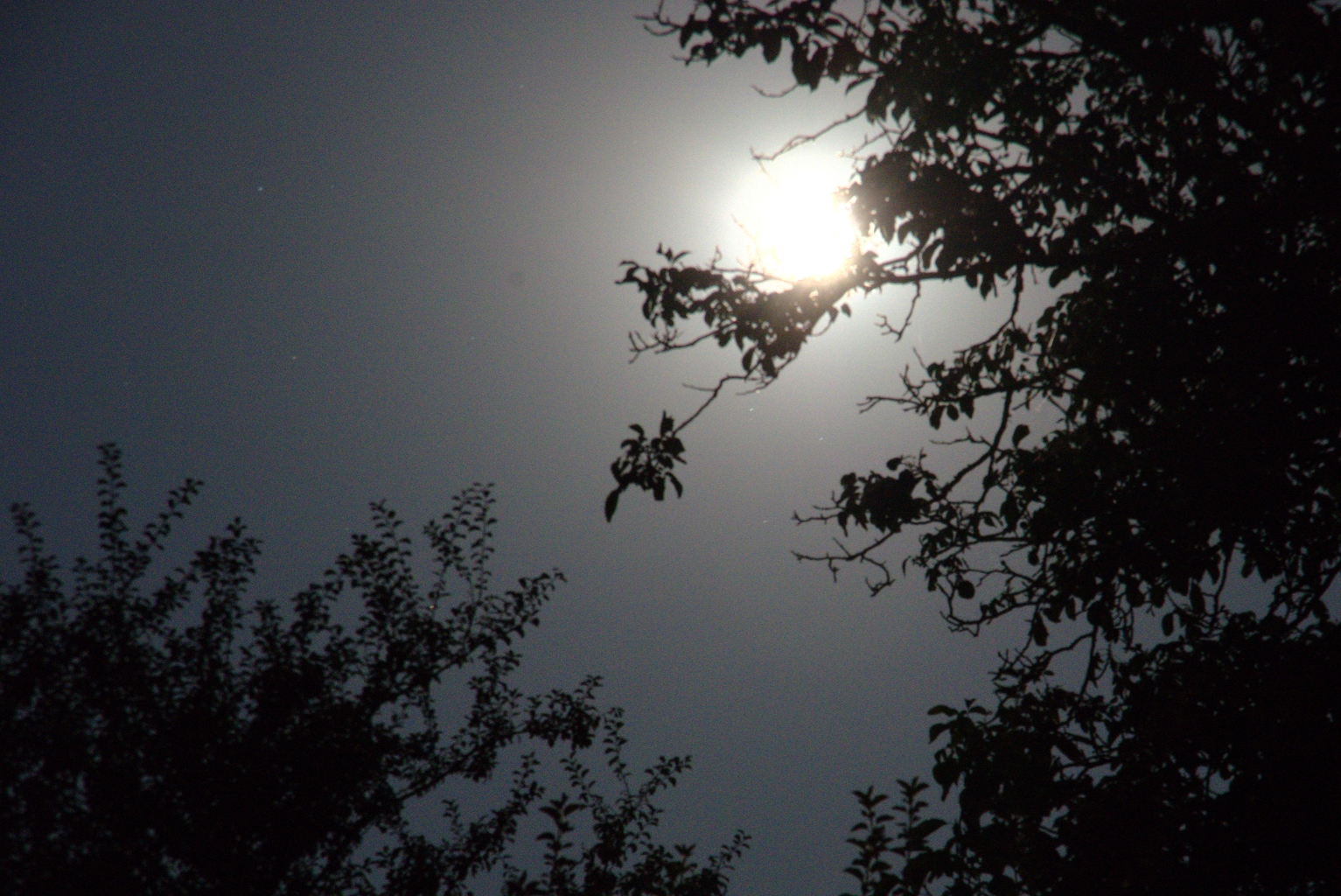 La nuit – Joël Angot
