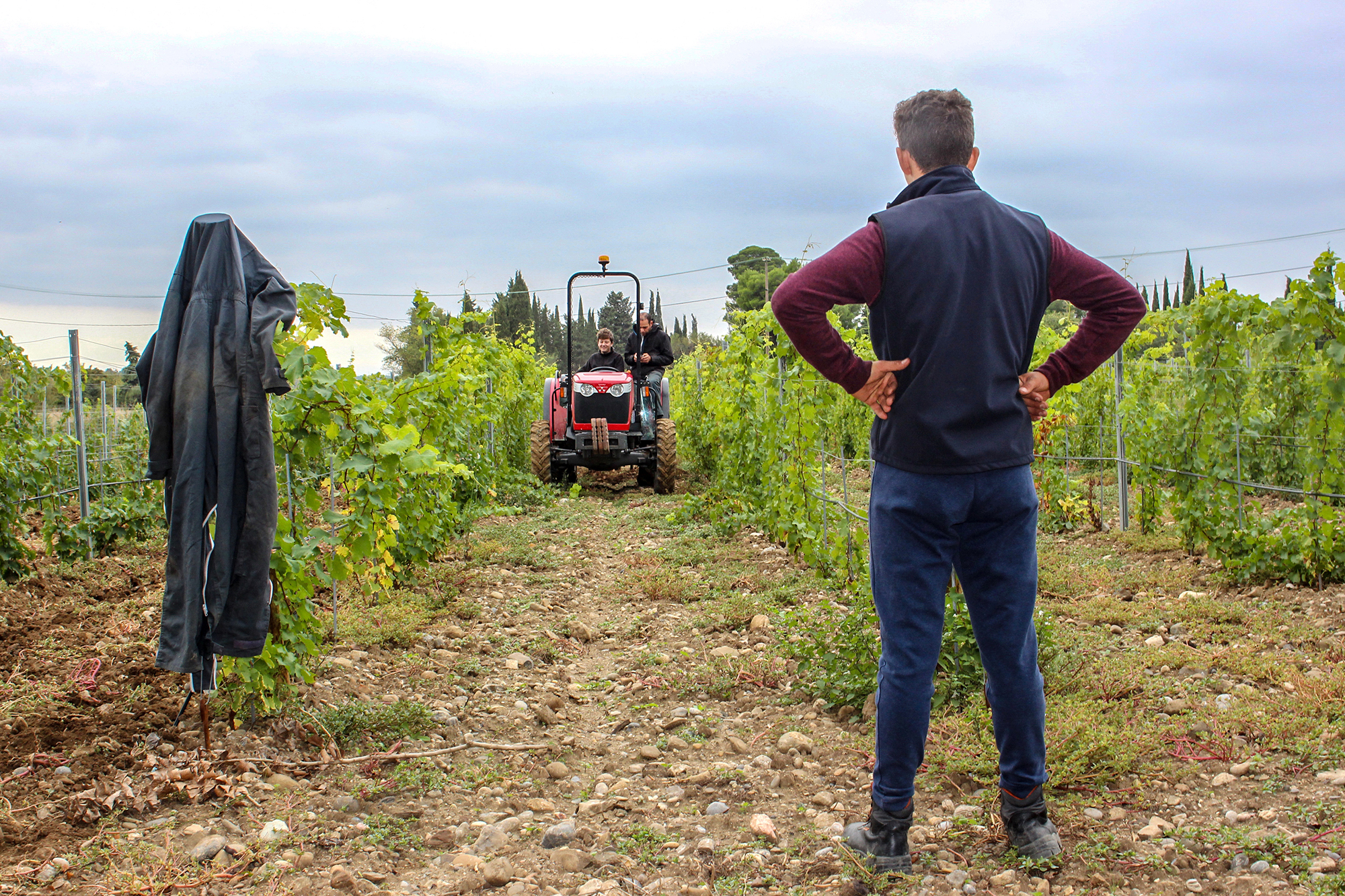 Exposition Génération Nature – Carcassonne