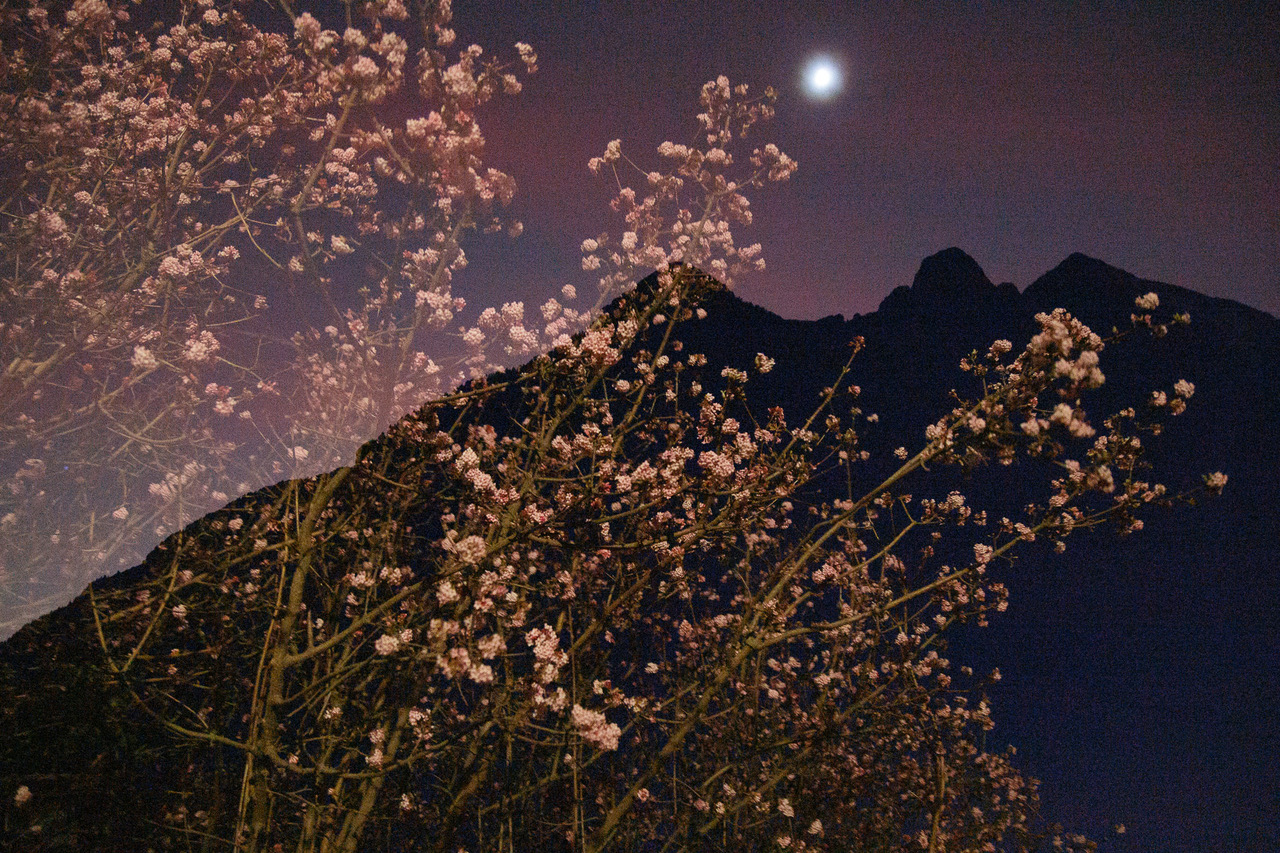 La Nuit – Françoise Riss-Cazeils
