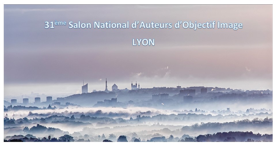 31 ème Salon National d&rsquo;Auteurs – Lyon