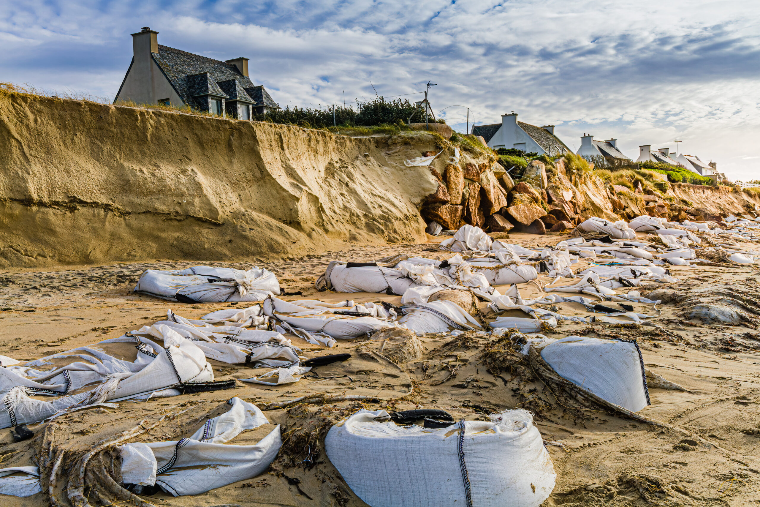 Quand la nature reprend ses droits – Lannion