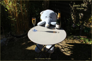 Métamorphose – Jean-Paul Erpelding