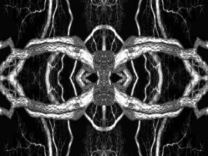 Métamorphose – Philippe Rouyer