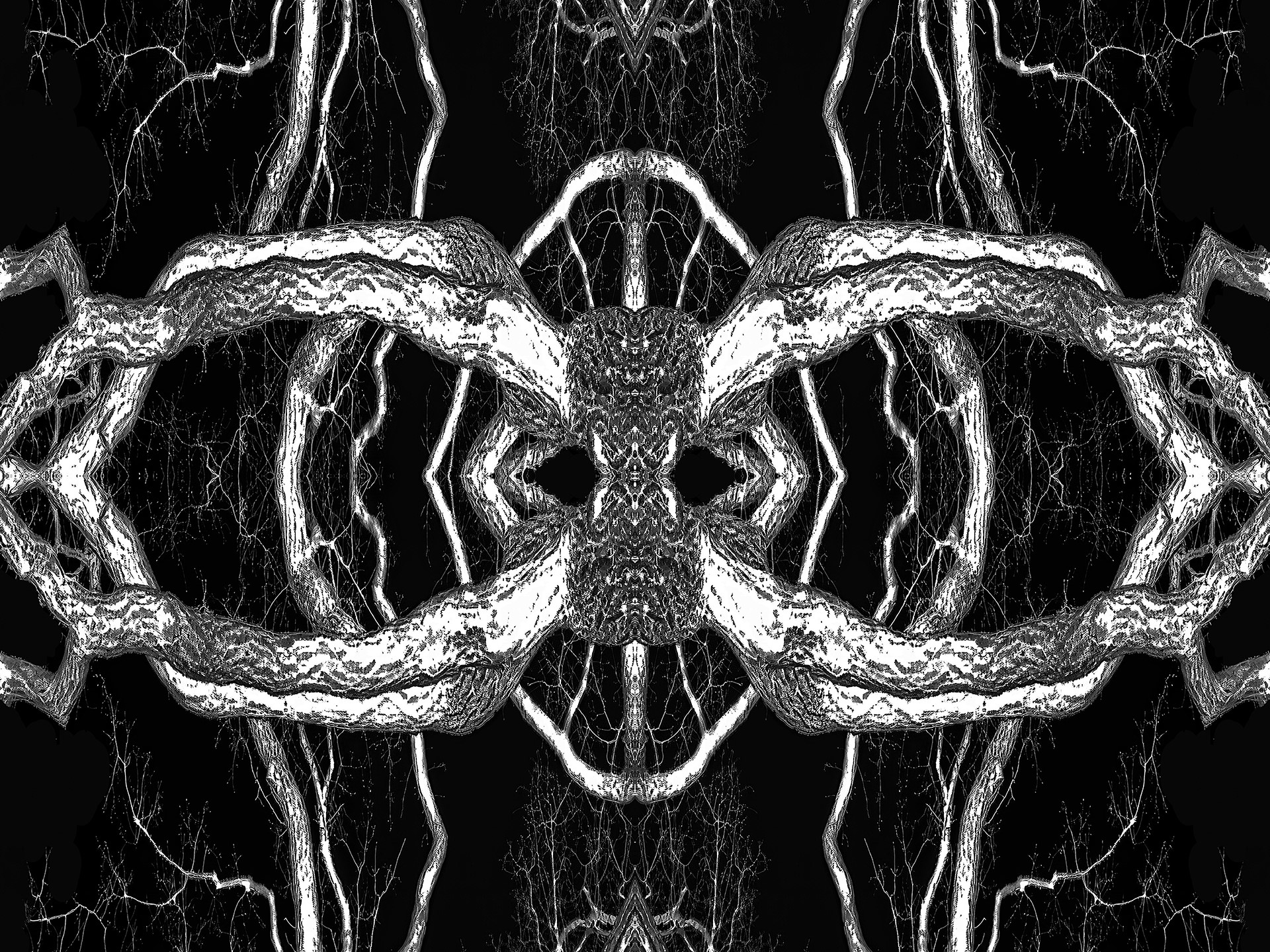 Métamorphose – Philippe Rouyer