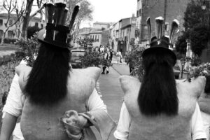 Métamorphose – Pierre Soyer