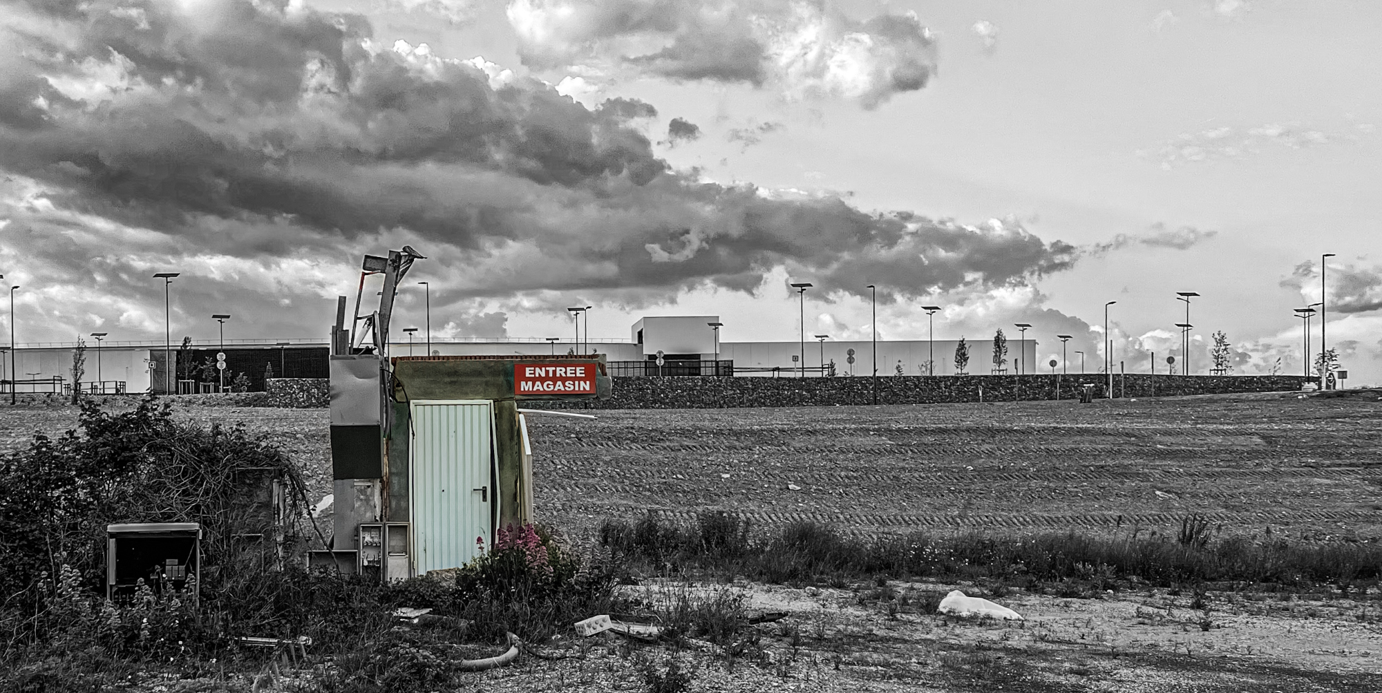 Métamorphose – Julie Butterfas