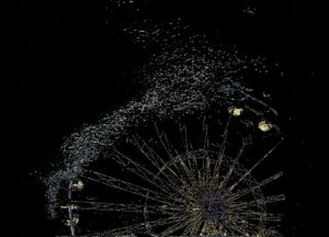 Métamorphose – Francis Michel