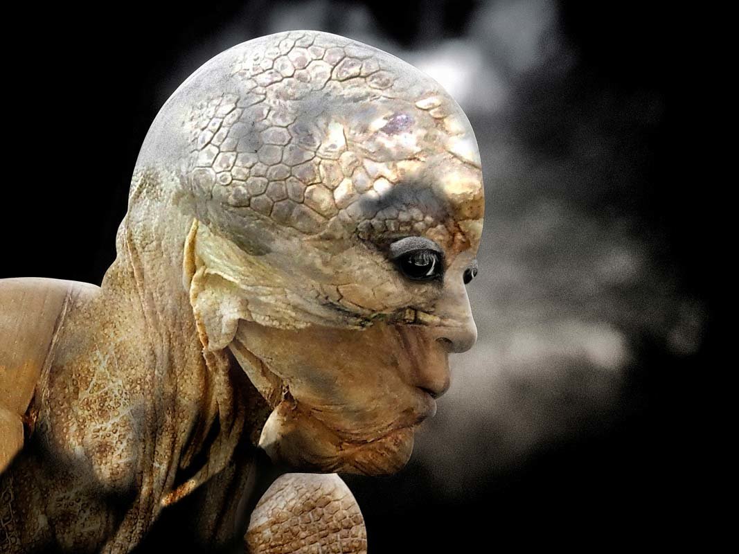 Métamorphose – Céline Pierini