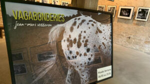 Expo photo « Vagabonderies »