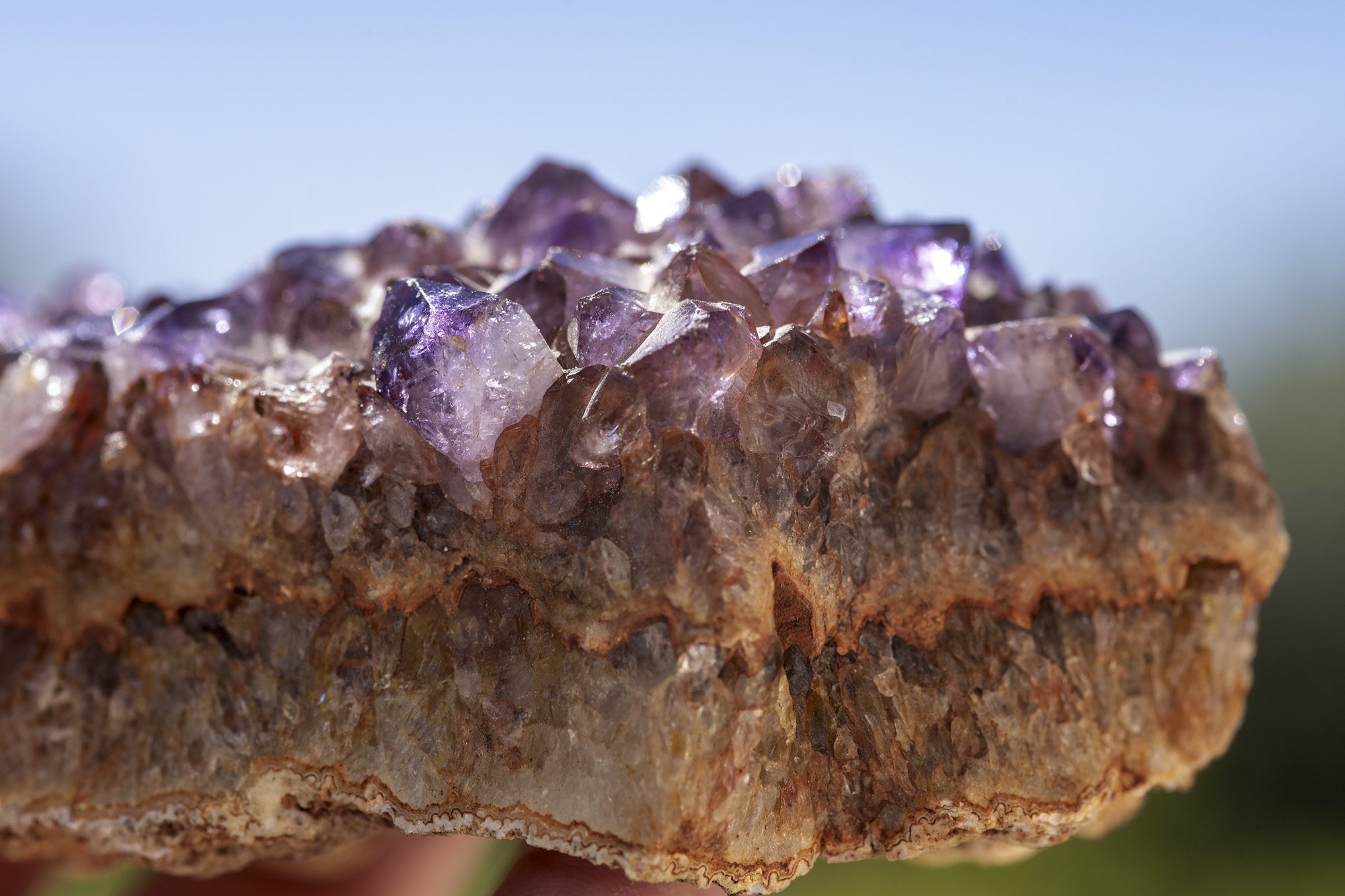 Métamorphose – Florence Cayrol