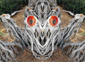 Métamorphose et Mouvement