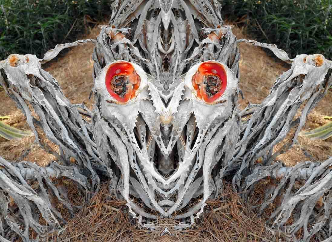 Métamorphose et Mouvement