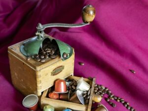 Métamorphose – Francis Michel