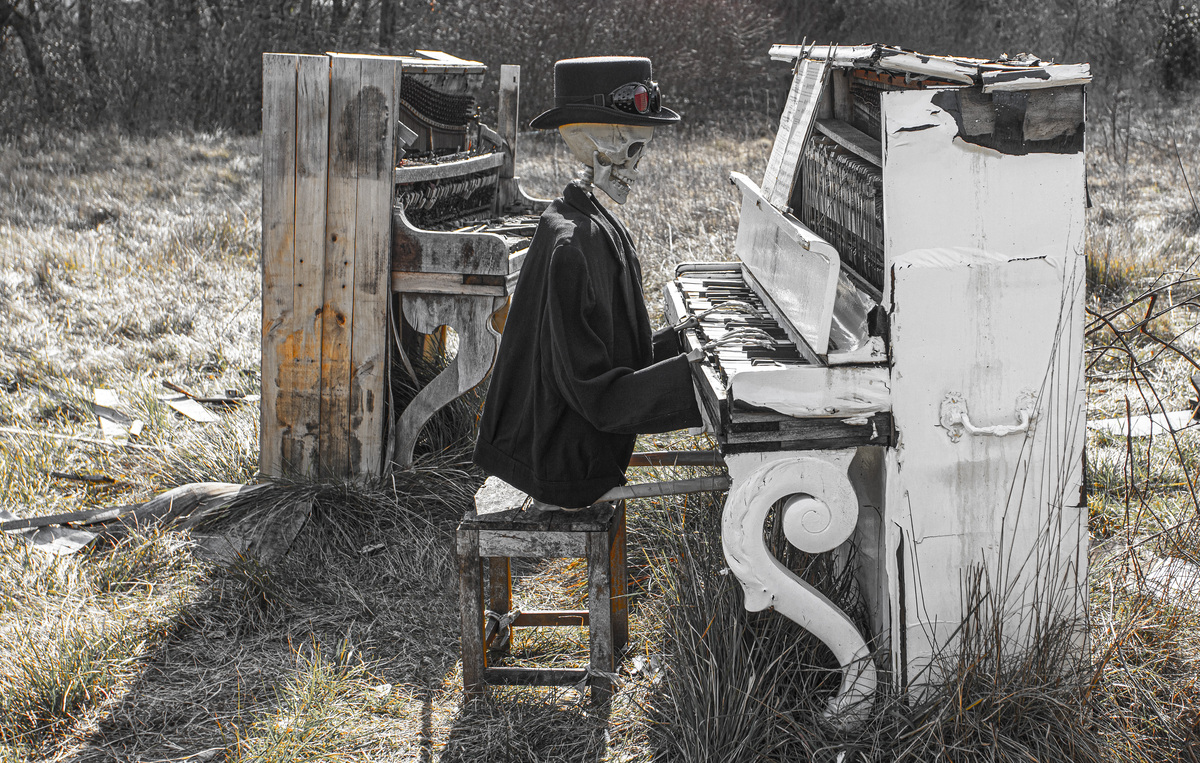 Métamorphose – Véronique Jacquemard