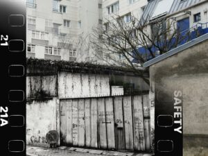 Métamorphose – Philippe Bernet