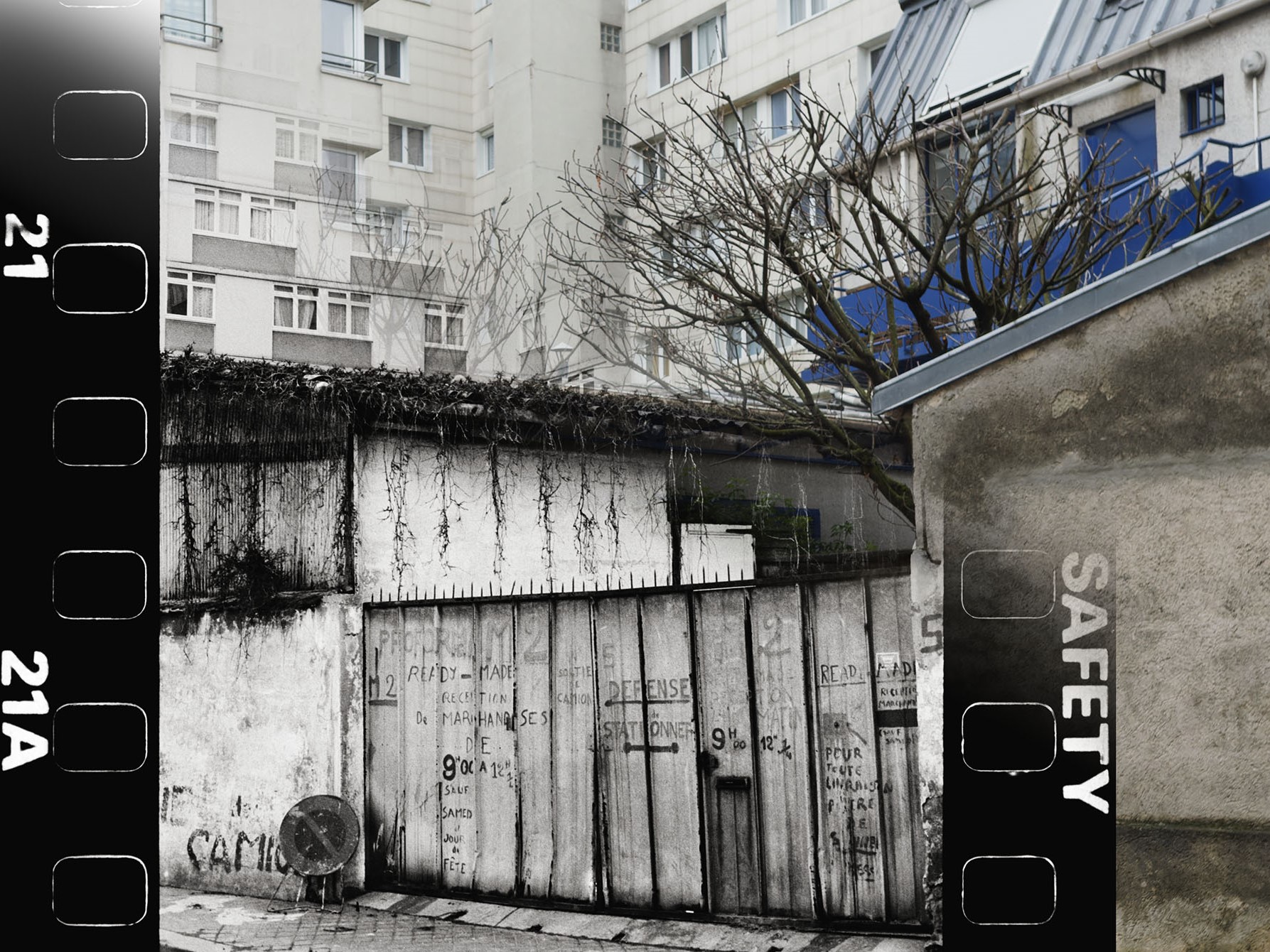 Métamorphose – Philippe Bernet