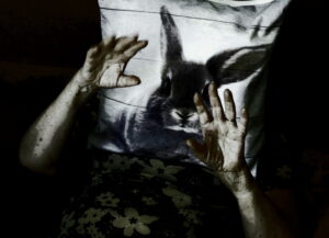 Métamorphose – Jean Claude Veran