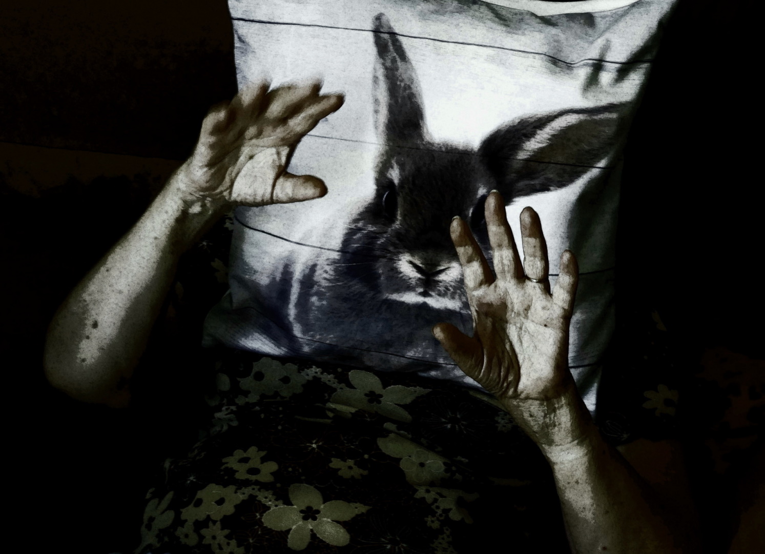 Métamorphose – Jean Claude Veran