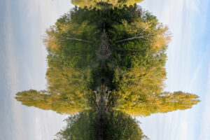 Jean-Pierre Cartier – Métamorphose