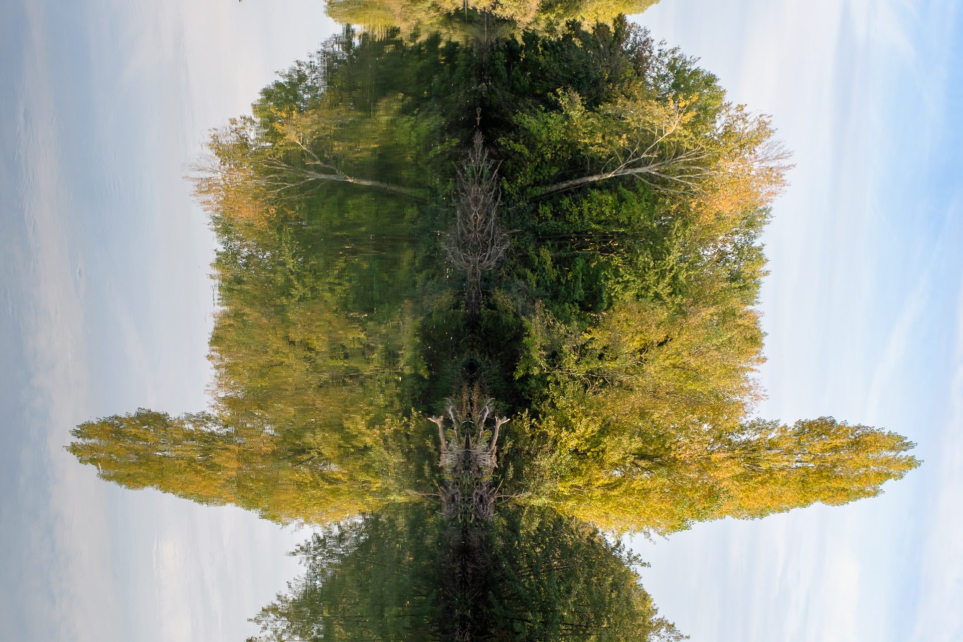 Jean-Pierre Cartier – Métamorphose