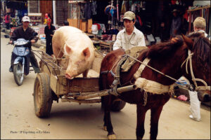 Festival Voyages Découvertes – Le Mans