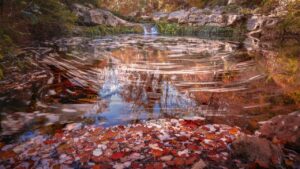 L&rsquo;ALARIC ET SON TERRITOIRE