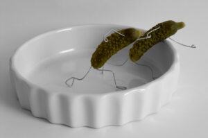 Jean-Michel Céas – Fiction ou bien réalité ?