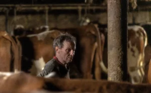 Festival Photo de Brioude