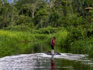 Voyage – Christian Peter