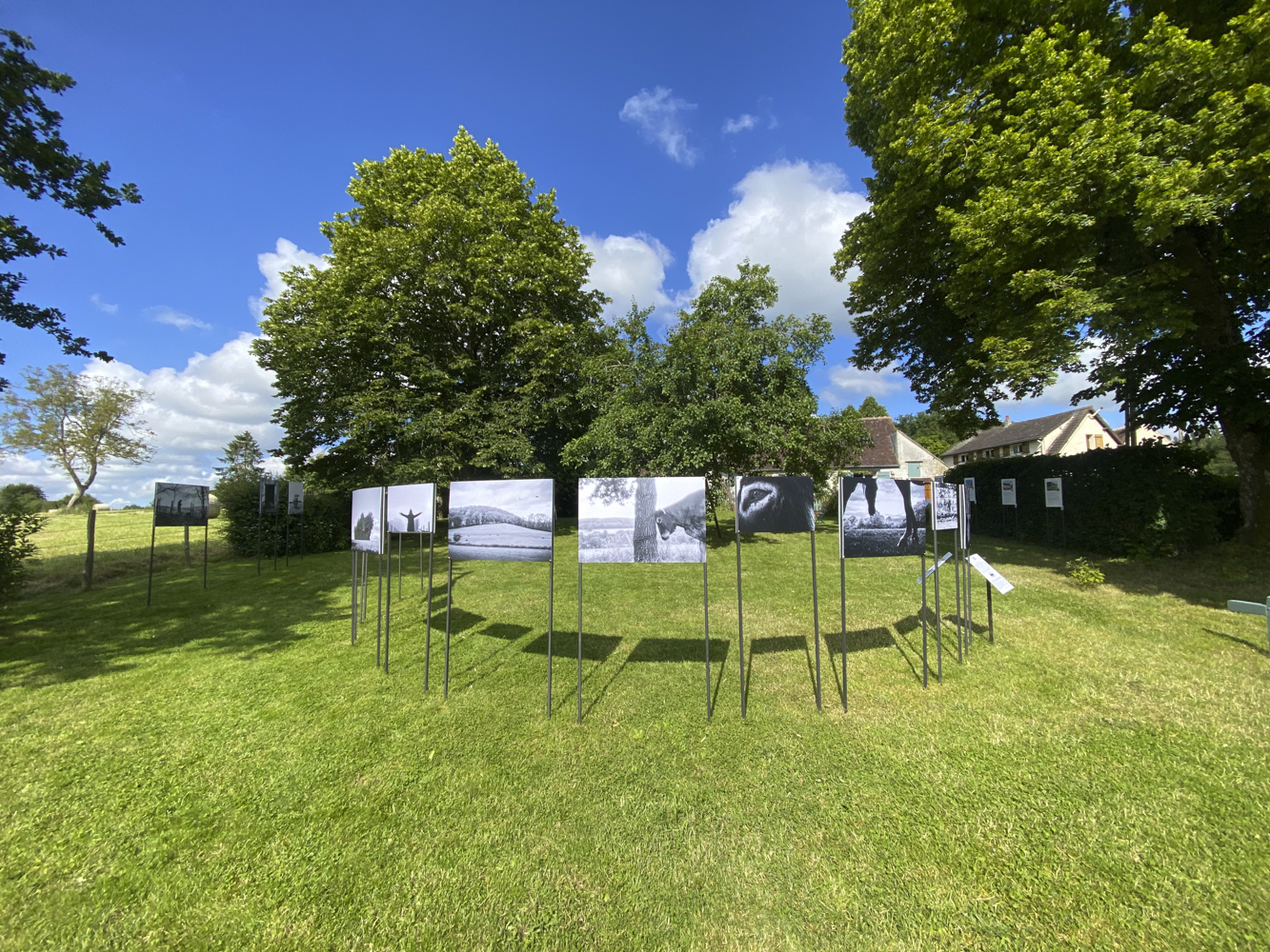 S&rsquo;ENRACINER – Galerie du bout du pré