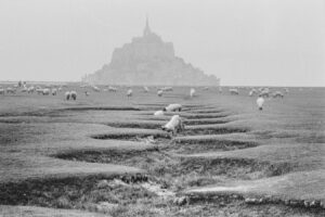 Exposition Noir & Blanc – Objectif Image 72