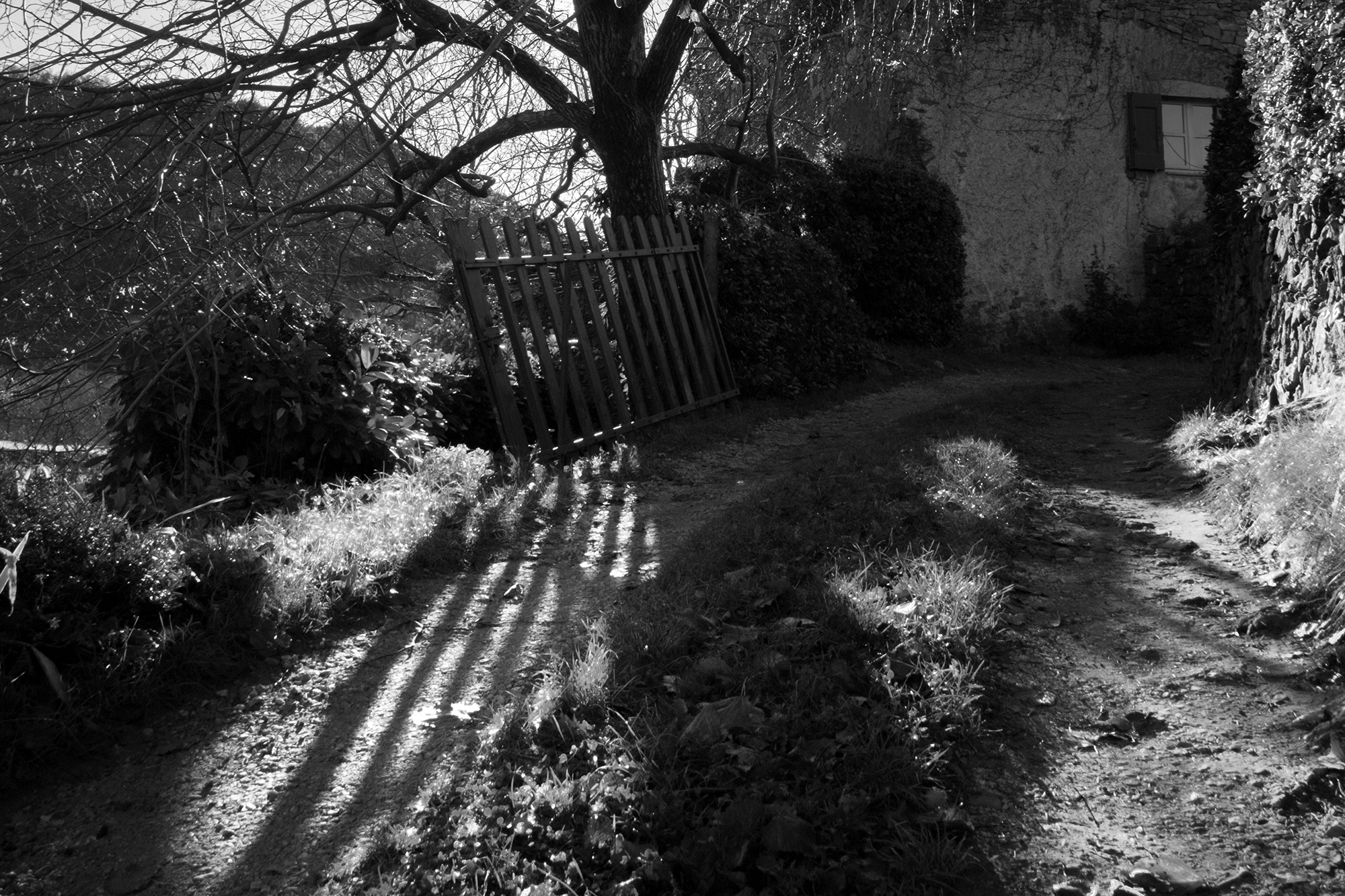 SILENCE – Valérie Delpire