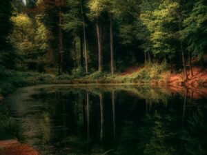 Laetitia Larquier – Territoire Limousin