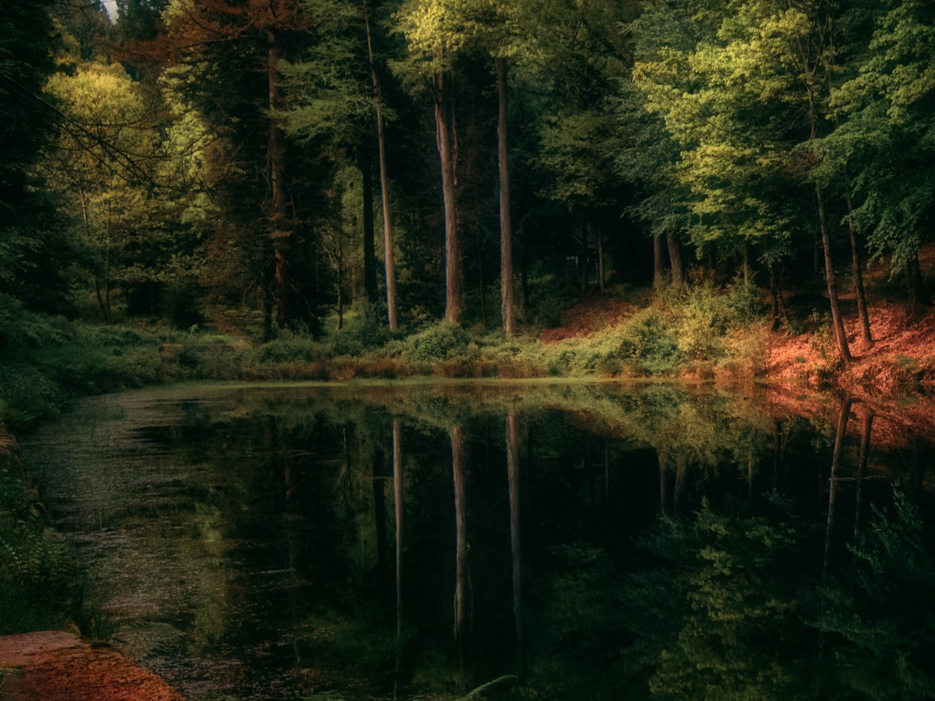 Laetitia Larquier – Territoire Limousin