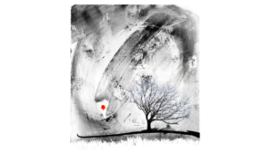 La Boite de…   Celia Berthaud-Purata