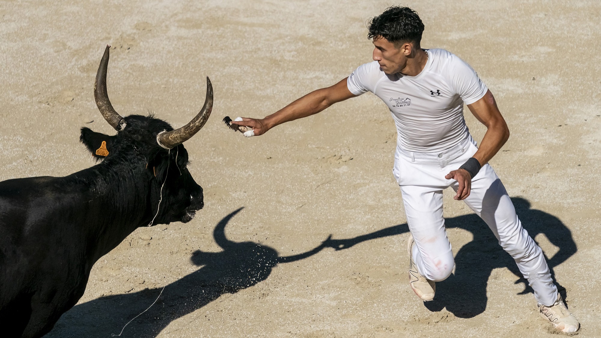Jean-Michel Céas – Courses Camarguaises