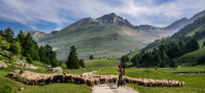 Daniel Gardan – Territoire