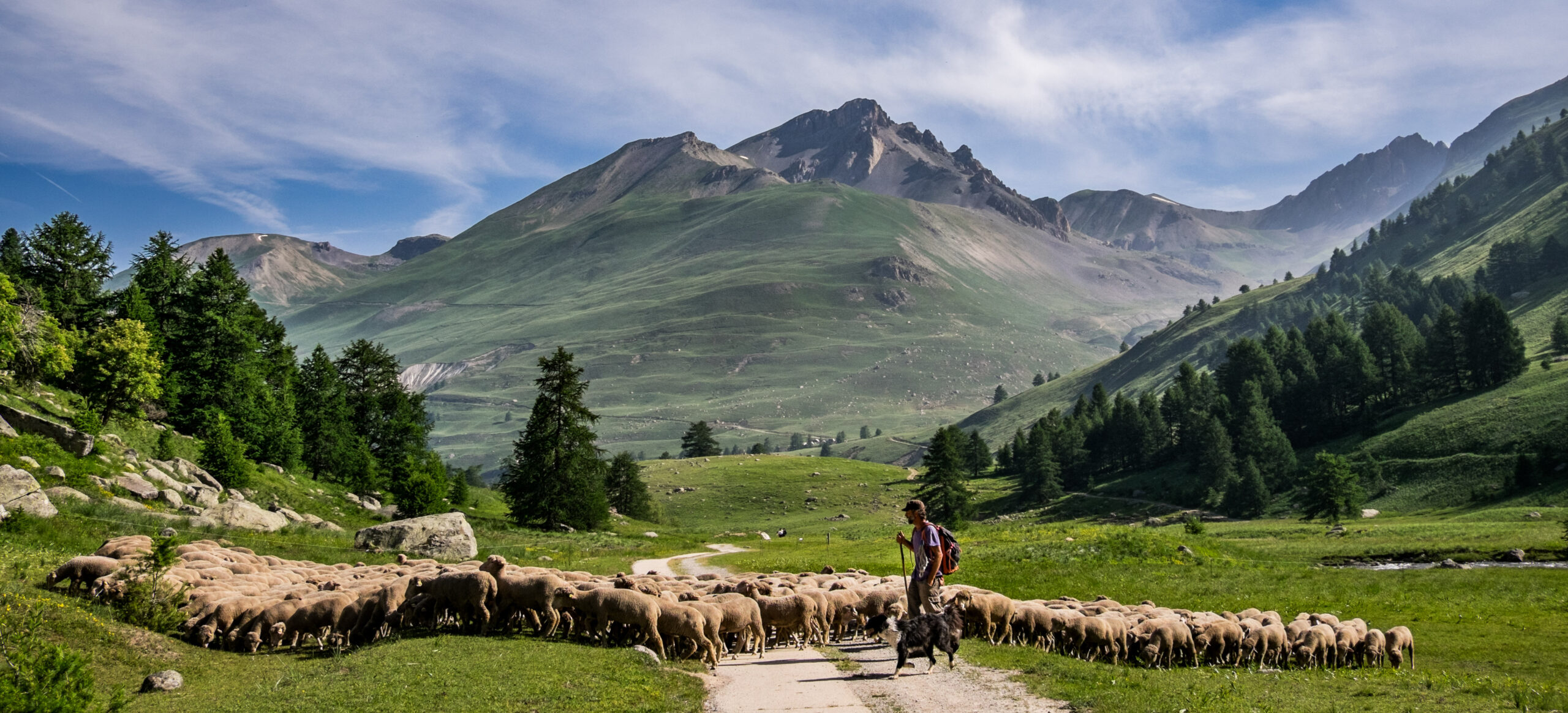 Daniel Gardan – Territoire
