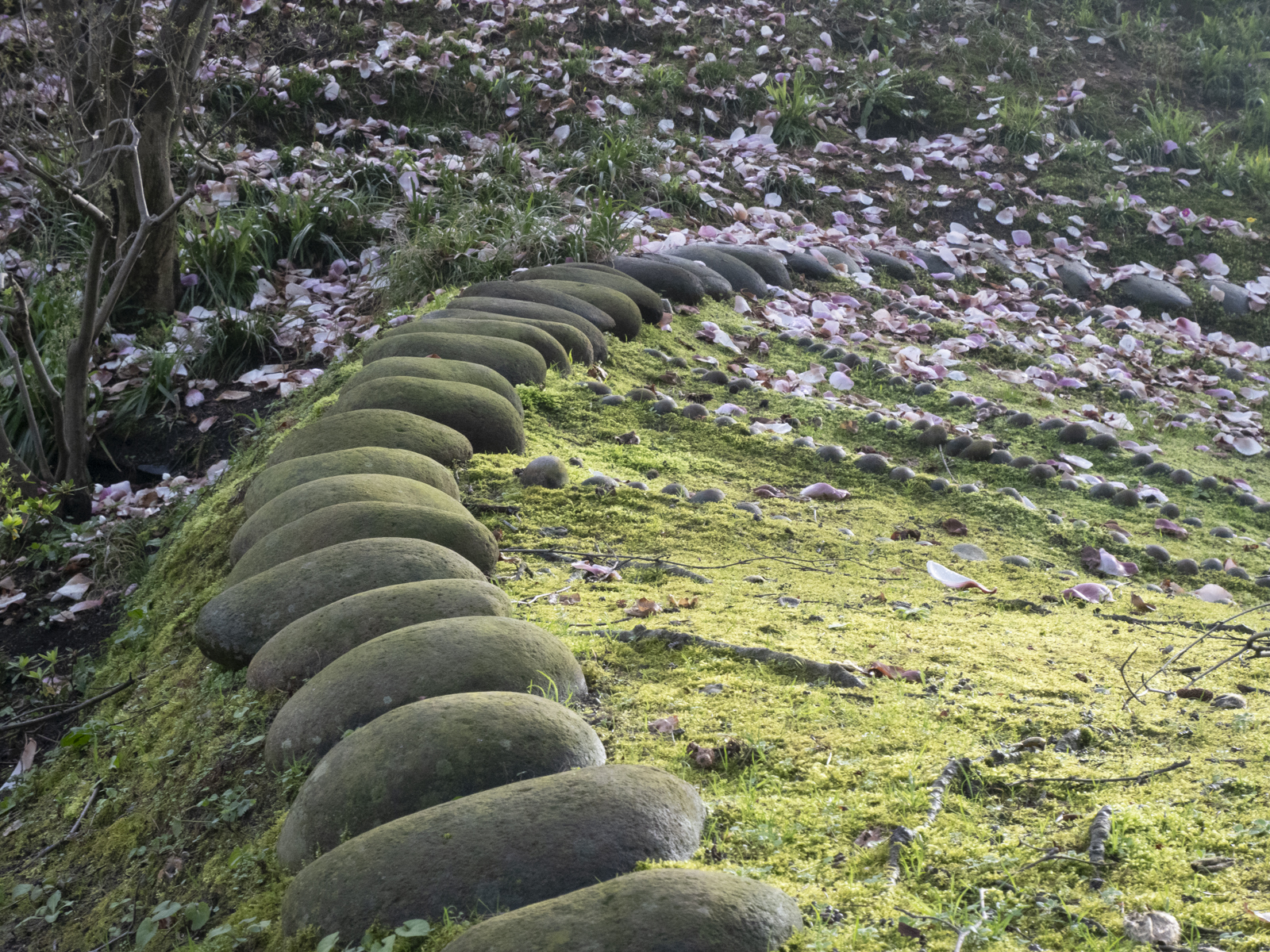 Territoire – Florence Vilar