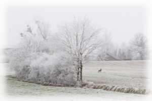 Salon d&rsquo;Art Photographique – Orléans